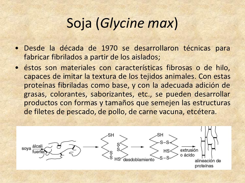 Soja (Glycine max) Desde la década de 1970 se desarrollaron técnicas para fabricar fibrilados a partir de los aislados;