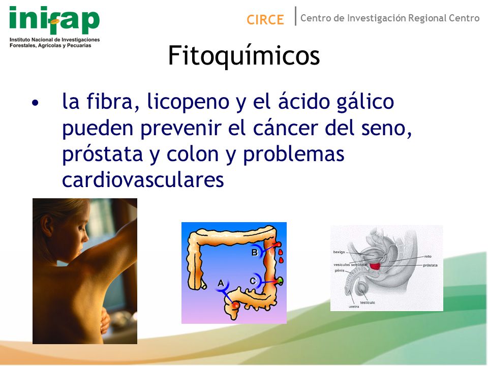 Fitoquímicos la fibra, licopeno y el ácido gálico pueden prevenir el cáncer del seno, próstata y colon y problemas cardiovasculares.