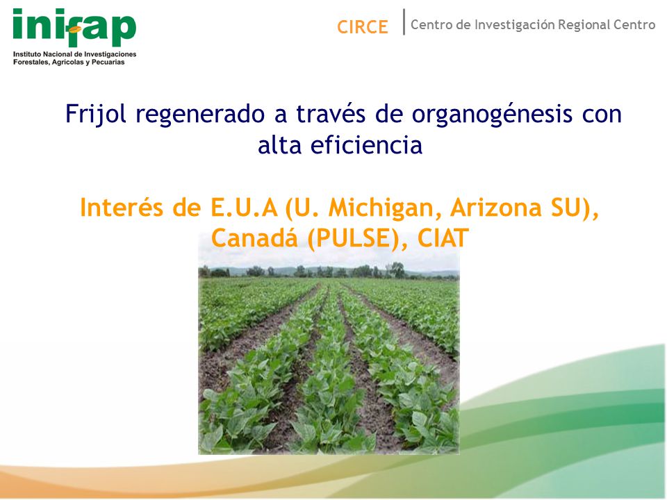 Interés de E.U.A (U. Michigan, Arizona SU), Canadá (PULSE), CIAT