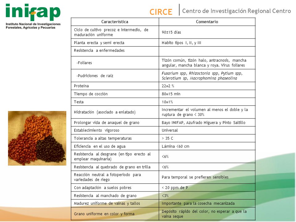 Característica Comentario. Ciclo de cultivo precoz e intermedio, de maduración uniforme. 9015 días.