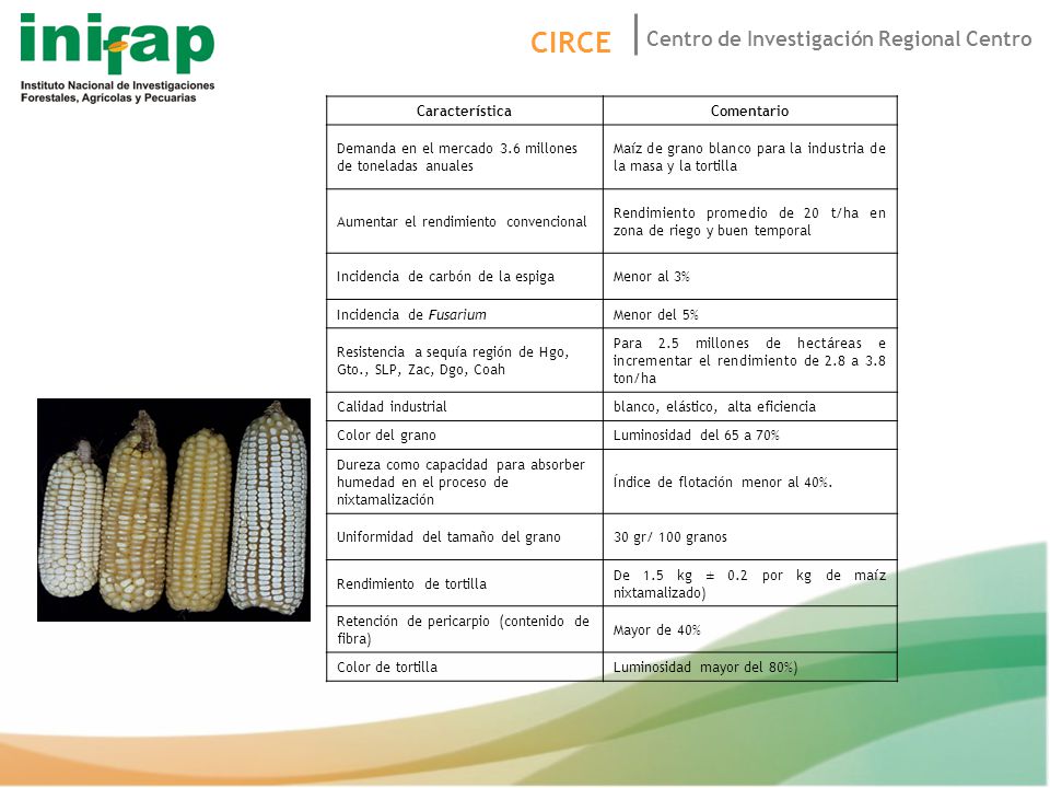 Característica Comentario. Demanda en el mercado 3.6 millones de toneladas anuales. Maíz de grano blanco para la industria de la masa y la tortilla.