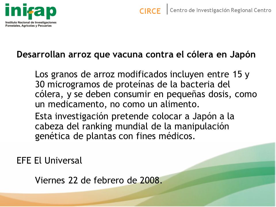 Desarrollan arroz que vacuna contra el cólera en Japón Los granos de arroz modificados incluyen entre 15 y 30 microgramos de proteínas de la bacteria del cólera, y se deben consumir en pequeñas dosis, como un medicamento, no como un alimento.