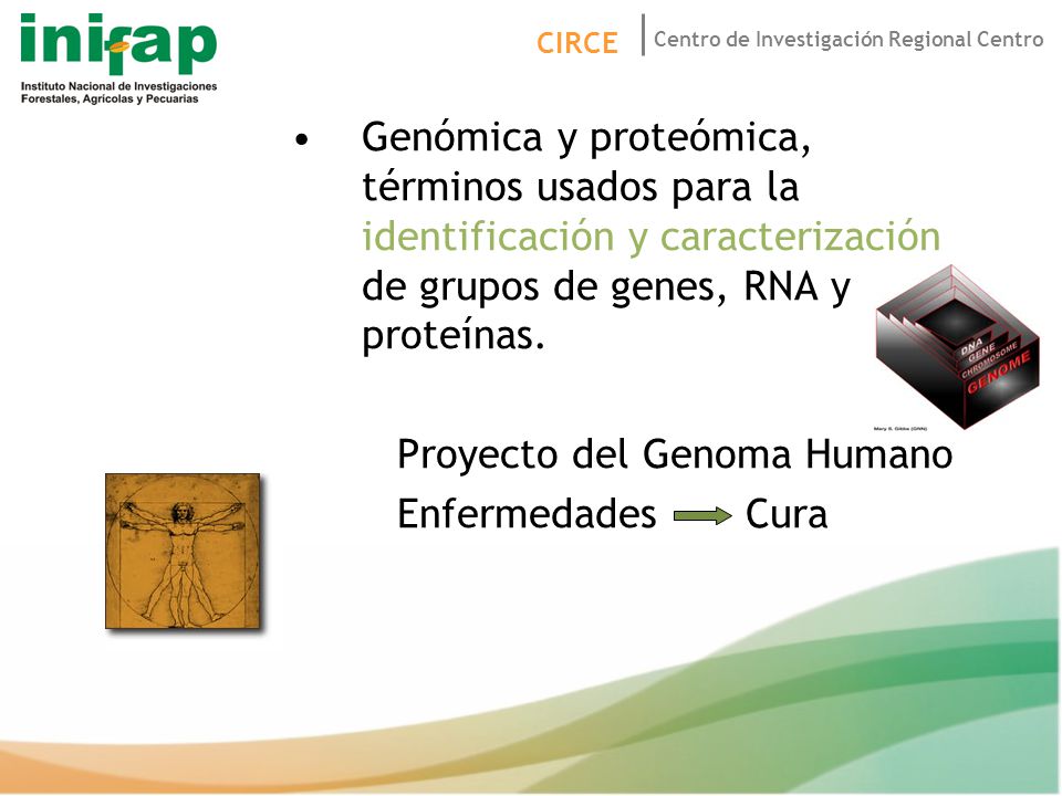 Genómica y proteómica, términos usados para la identificación y caracterización de grupos de genes, RNA y proteínas.