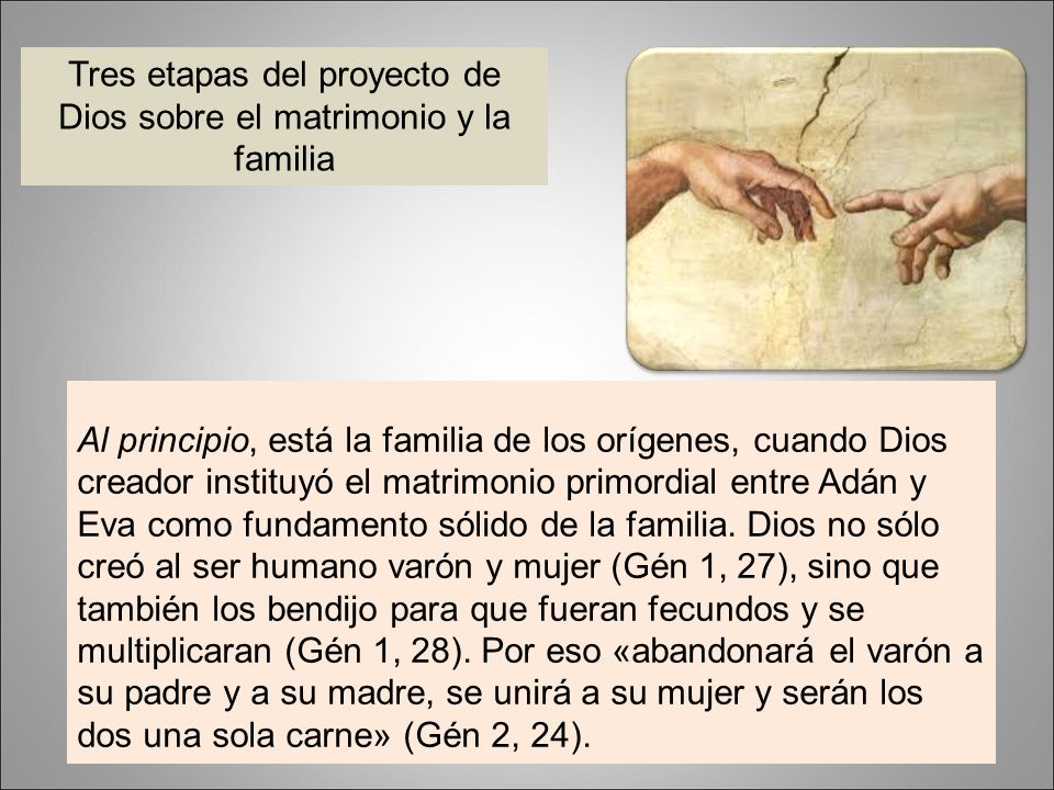 Tres etapas del proyecto de Dios sobre el matrimonio y la familia