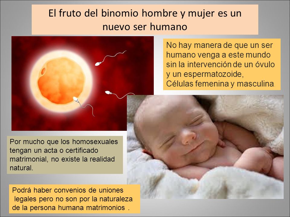 El fruto del binomio hombre y mujer es un nuevo ser humano