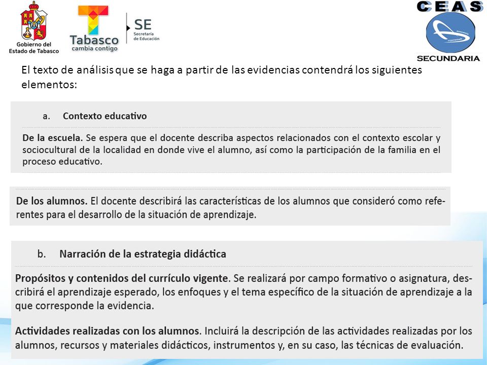 El texto de análisis que se haga a partir de las evidencias contendrá los siguientes elementos: