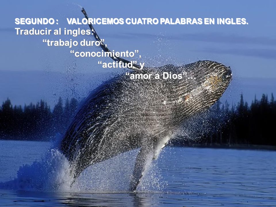 Traducir al ingles: trabajo duro , conocimiento , actitud y