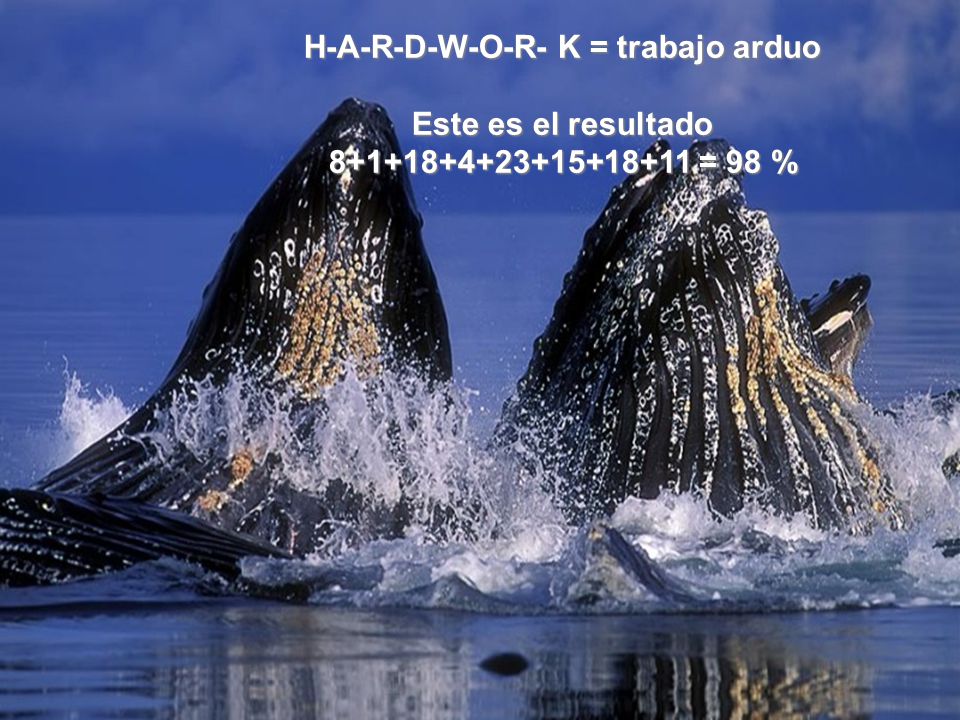 H-A-R-D-W-O-R- K = trabajo arduo