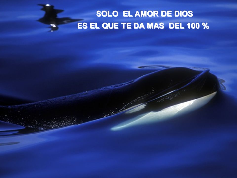 SOLO EL AMOR DE DIOS ES EL QUE TE DA MAS DEL 100 %