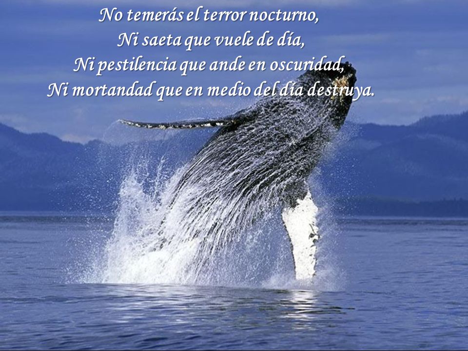 No temerás el terror nocturno, Ni saeta que vuele de día,