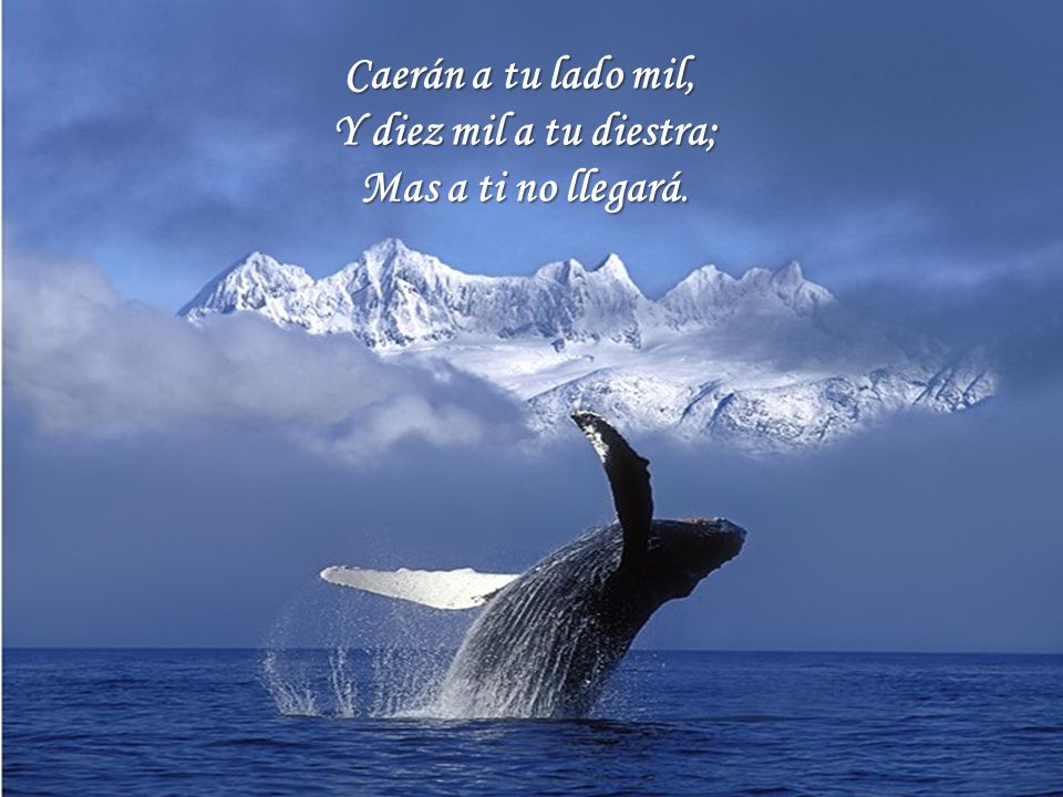 Caerán a tu lado mil, Y diez mil a tu diestra; Mas a ti no llegará.