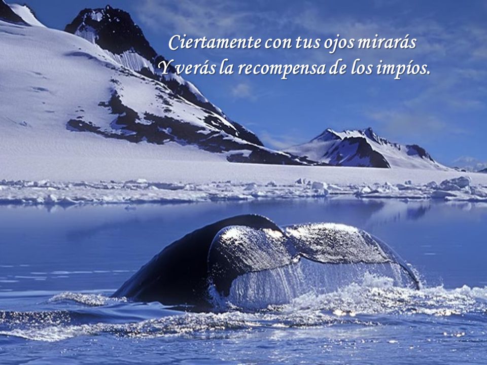 Ciertamente con tus ojos mirarás Y verás la recompensa de los impíos.