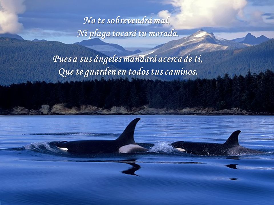 Ni plaga tocará tu morada. Pues a sus ángeles mandará acerca de ti,
