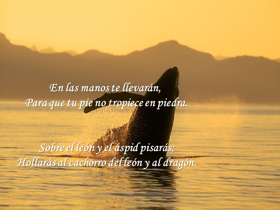 En las manos te llevarán, Para que tu pie no tropiece en piedra.