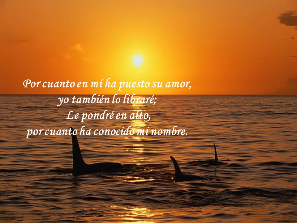 Por cuanto en mí ha puesto su amor, por cuanto ha conocido mi nombre.