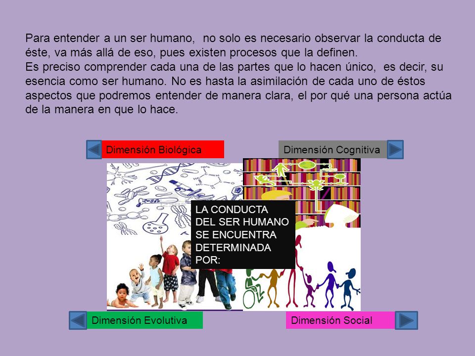 Para entender a un ser humano, no solo es necesario observar la conducta de éste, va más allá de eso, pues existen procesos que la definen.