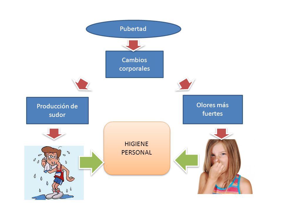 Pubertad Cambios corporales Olores más fuertes Producción de sudor HIGIENE PERSONAL