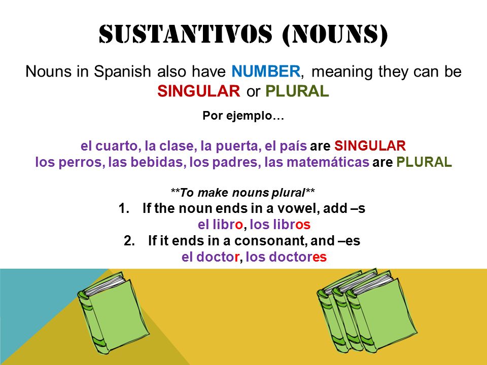 SUStANTIVOS (Nouns) Nouns in Spanish also have NUMBER, meaning they can be SINGULAR or PLURAL. Por ejemplo…