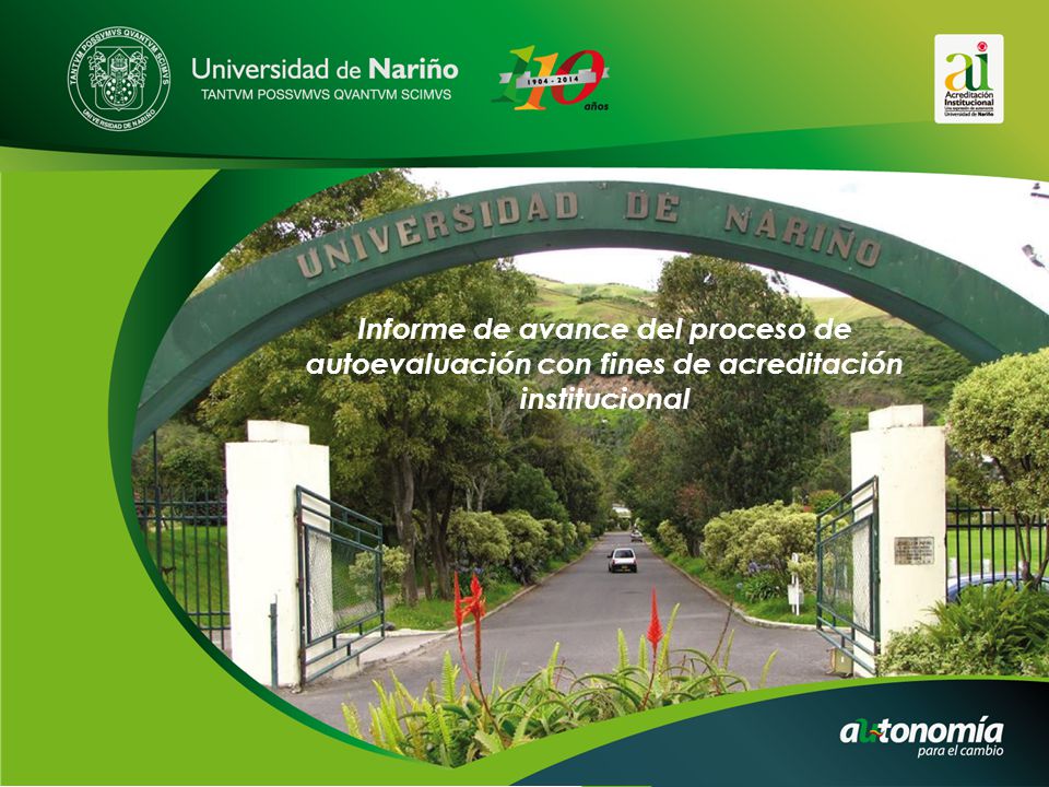 Informe de avance del proceso de autoevaluación con fines de acreditación institucional