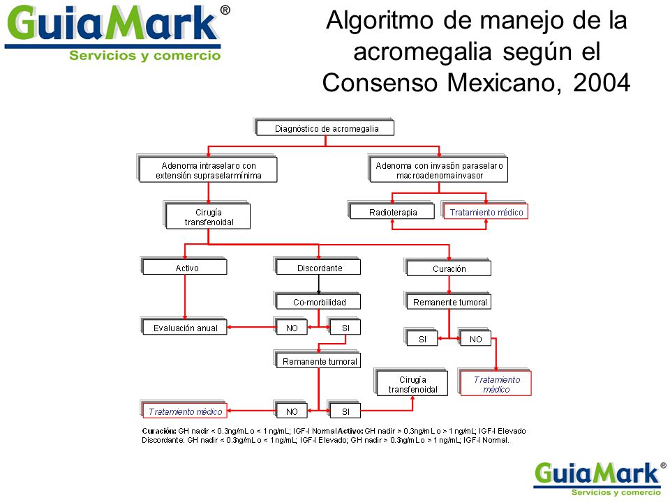Algoritmo de manejo de la acromegalia según el Consenso Mexicano, 2004