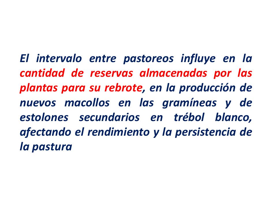 El intervalo entre pastoreos influye en la cantidad de reservas almacenadas por las plantas para su rebrote, en la producción de nuevos macollos en las gramíneas y de estolones secundarios en trébol blanco, afectando el rendimiento y la persistencia de la pastura