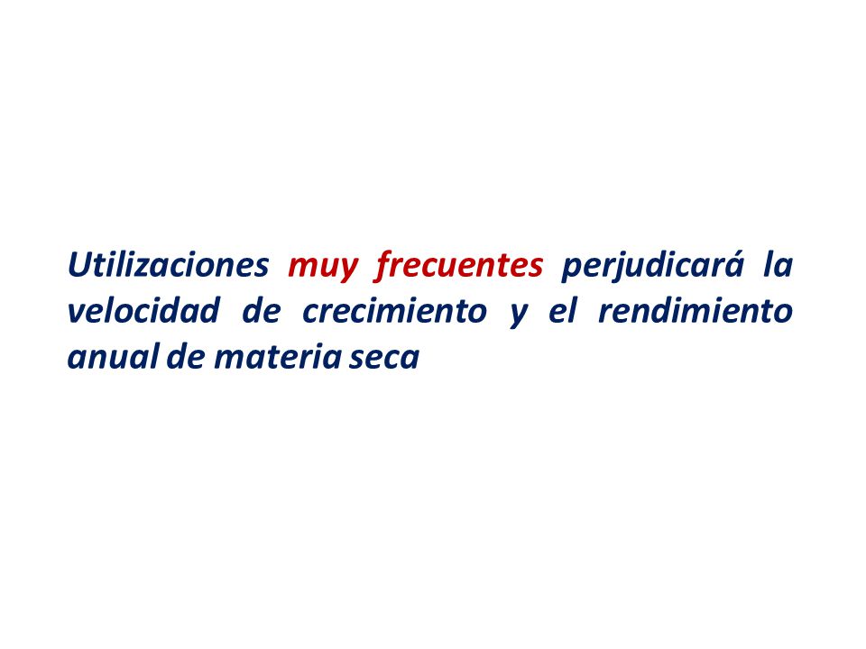 Utilizaciones muy frecuentes perjudicará la velocidad de crecimiento y el rendimiento anual de materia seca