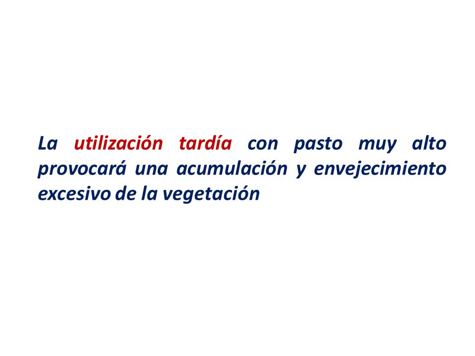 La utilización tardía con pasto muy alto provocará una acumulación y envejecimiento excesivo de la vegetación