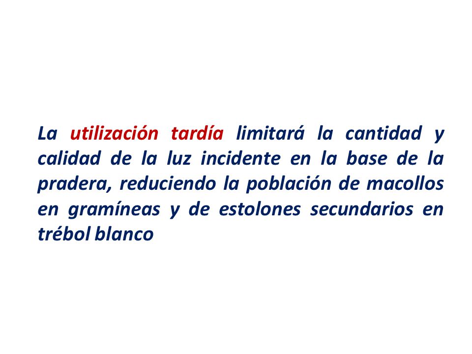 La utilización tardía limitará la cantidad y calidad de la luz incidente en la base de la pradera, reduciendo la población de macollos en gramíneas y de estolones secundarios en trébol blanco