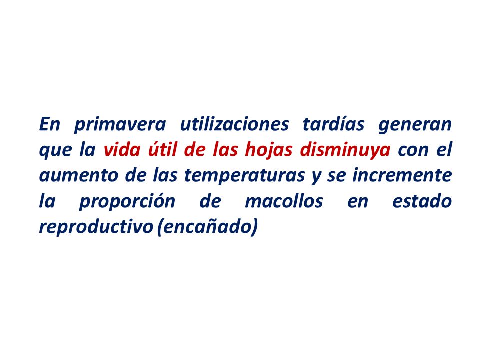 En primavera utilizaciones tardías generan que la vida útil de las hojas disminuya con el aumento de las temperaturas y se incremente la proporción de macollos en estado reproductivo (encañado)