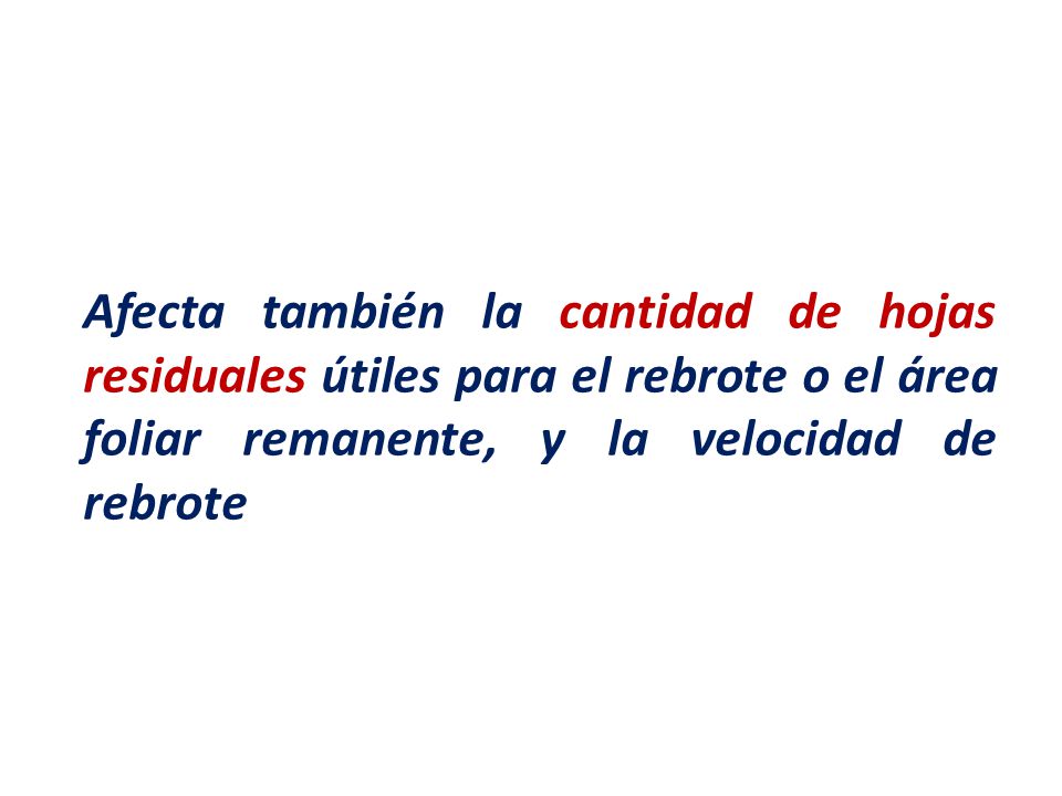 Afecta también la cantidad de hojas residuales útiles para el rebrote o el área foliar remanente, y la velocidad de rebrote