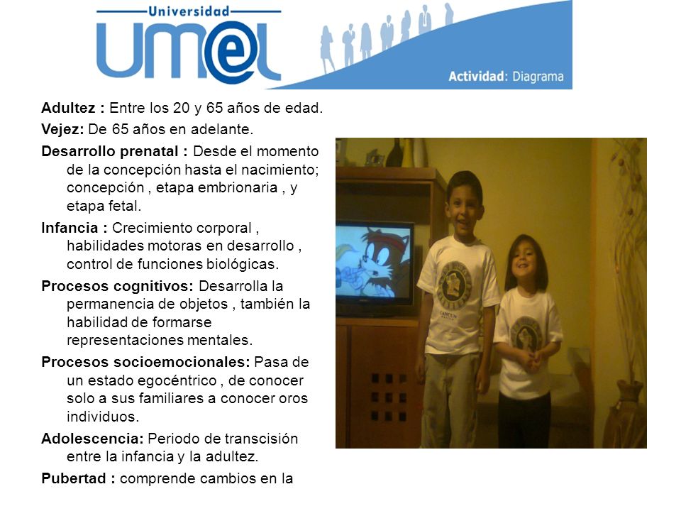 Adultez : Entre los 20 y 65 años de edad. Vejez: De 65 años en adelante.