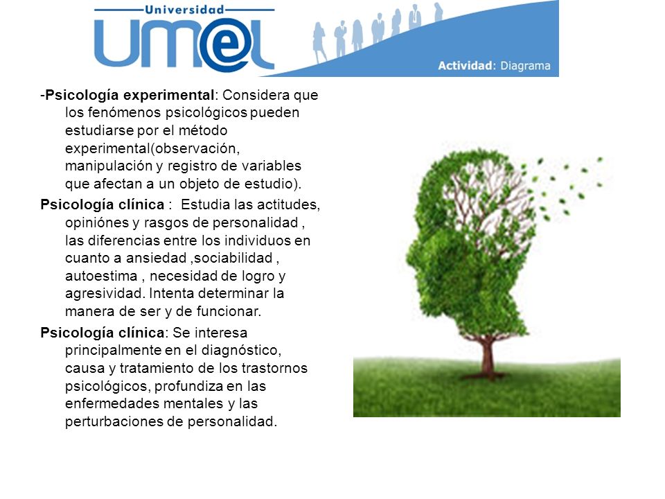 -Psicología experimental: Considera que los fenómenos psicológicos pueden estudiarse por el método experimental(observación, manipulación y registro de variables que afectan a un objeto de estudio).