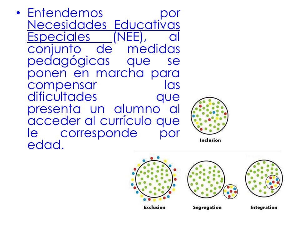 Entendemos por Necesidades Educativas Especiales (NEE), al conjunto de medidas pedagógicas que se ponen en marcha para compensar las dificultades que presenta un alumno al acceder al currículo que le corresponde por edad.