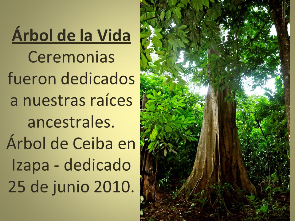 Árbol de la Vida Ceremonias fueron dedicados a nuestras raíces ancestrales.