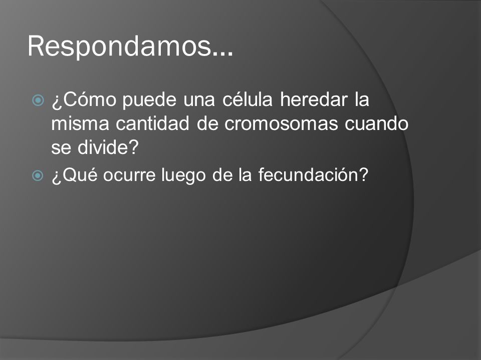 Respondamos… ¿Cómo puede una célula heredar la misma cantidad de cromosomas cuando se divide.