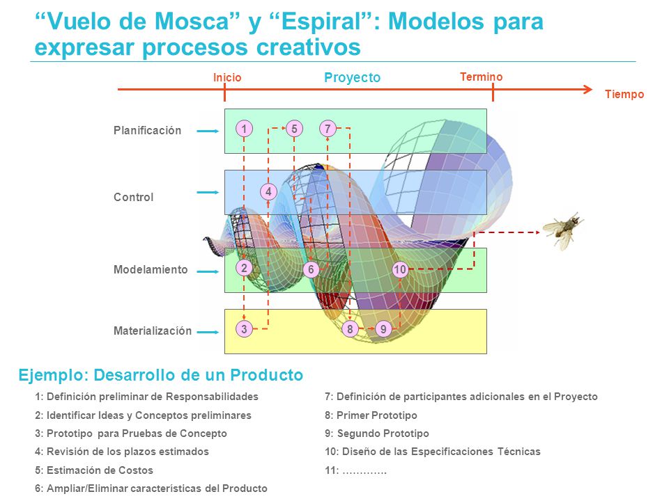 Vuelo de Mosca y Espiral : Modelos para expresar procesos creativos