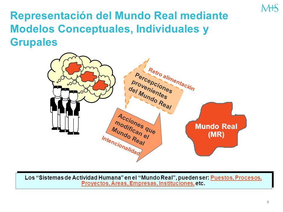 Representación del Mundo Real mediante Modelos Conceptuales, Individuales y Grupales