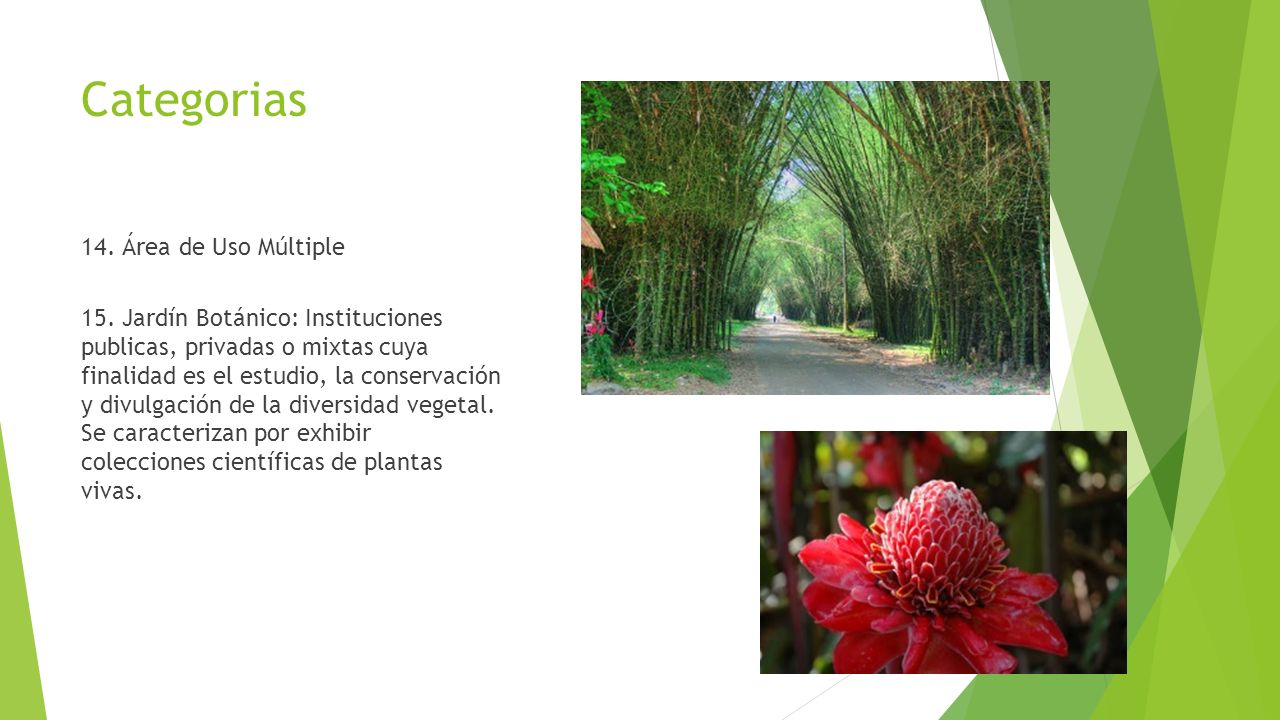 Categorias 14. Área de Uso Múltiple