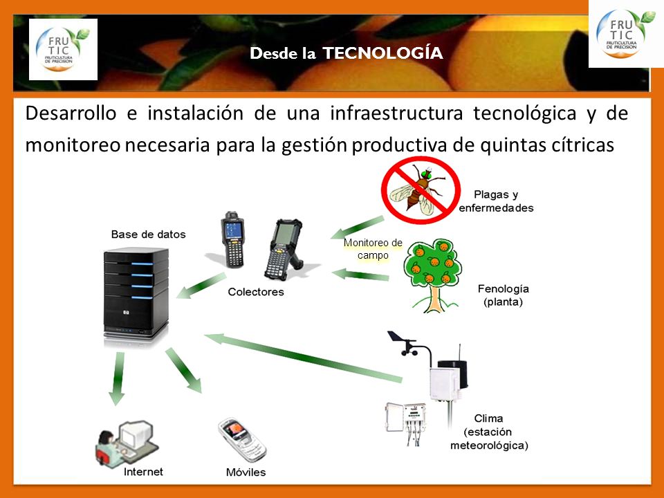 Desde la TECNOLOGÍA