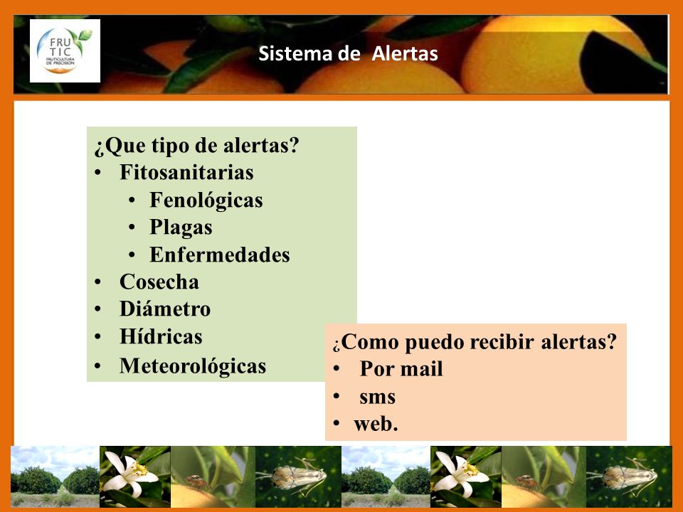 Sistema de Alertas ¿Que tipo de alertas Fitosanitarias Fenológicas