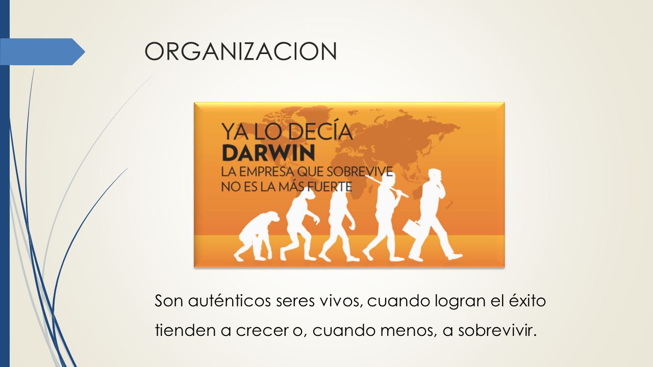 ORGANIZACION Son auténticos seres vivos, cuando logran el éxito tienden a crecer o, cuando menos, a sobrevivir.