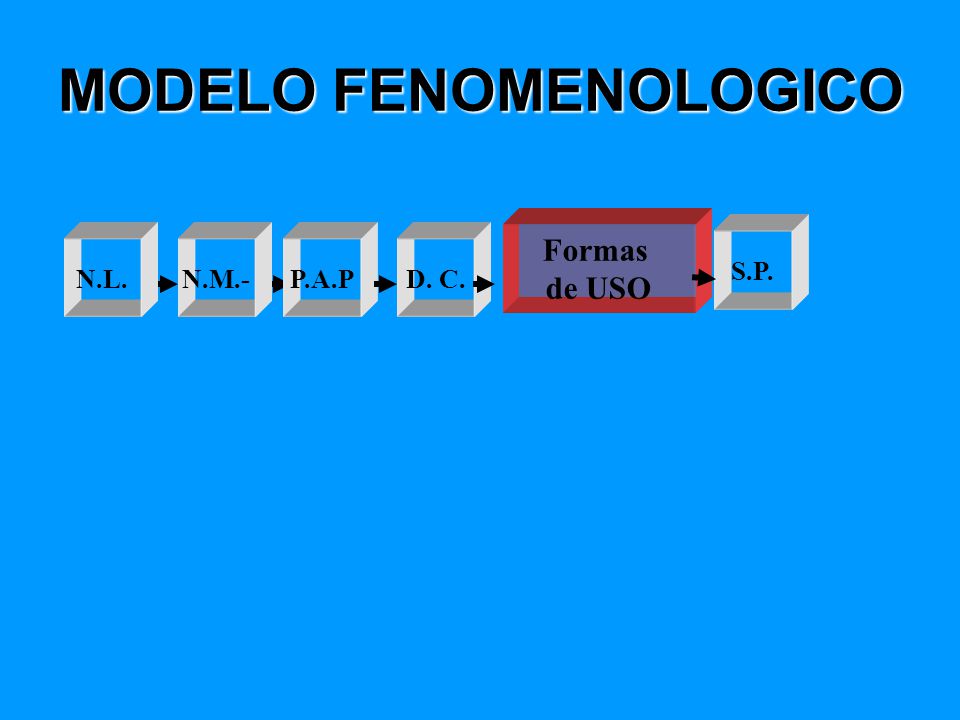 MODELO FENOMENOLOGICO