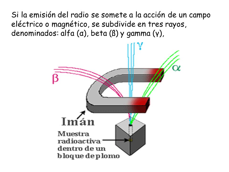Si la emisión del radio se somete a la acción de un campo eléctrico o magnético, se subdivide en tres rayos, denominados: alfa (α), beta (ß) y gamma (γ),