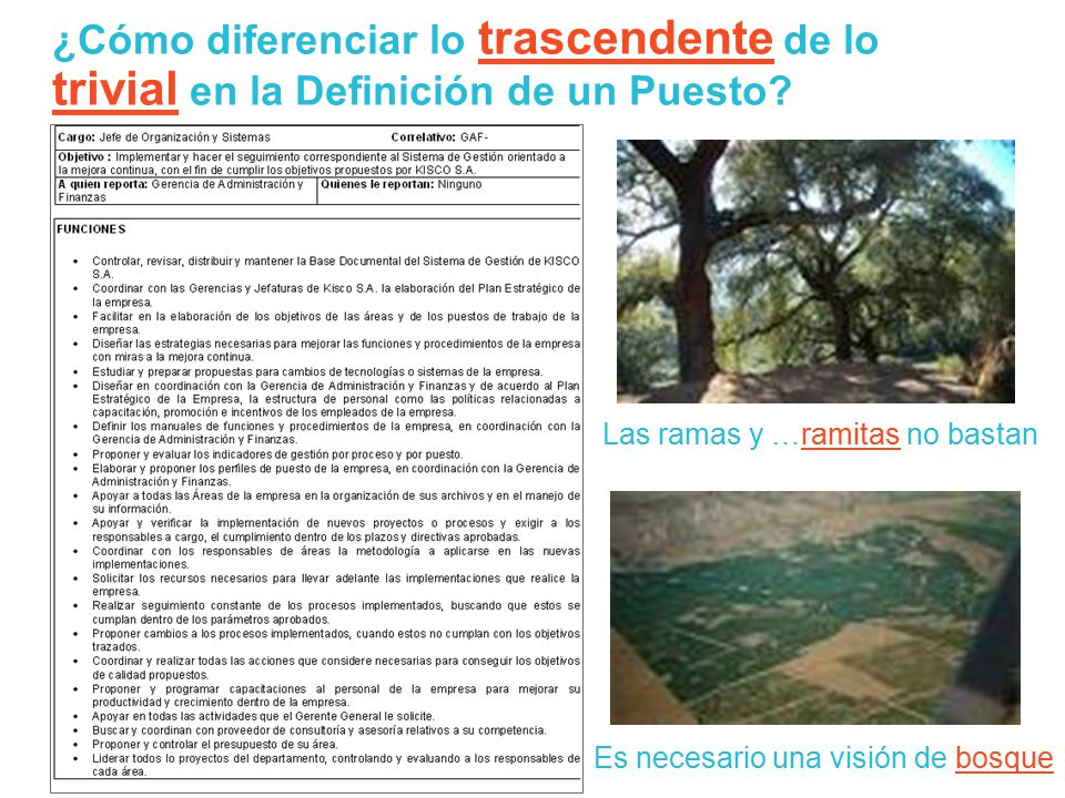 ¿Cómo diferenciar lo trascendente de lo trivial en la Definición de un Puesto