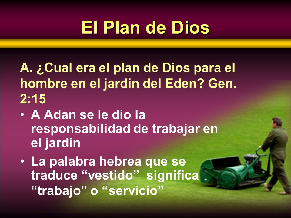 El Plan de Dios A. ¿Cual era el plan de Dios para el hombre en el jardin del Eden Gen. 2:15.