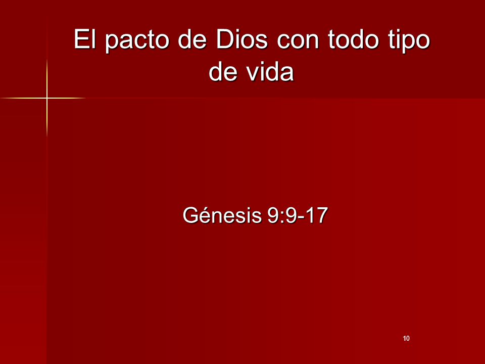 El pacto de Dios con todo tipo de vida