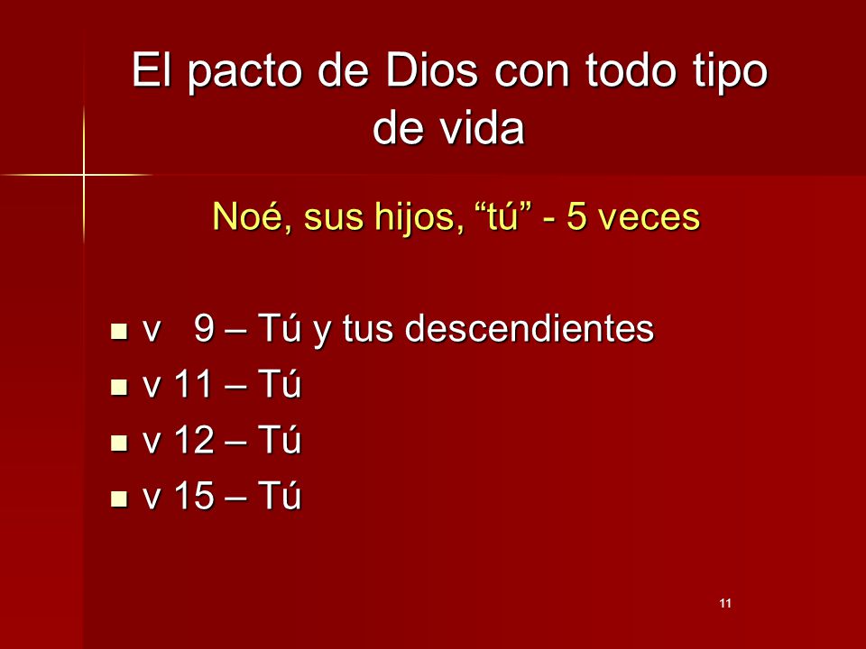 El pacto de Dios con todo tipo de vida