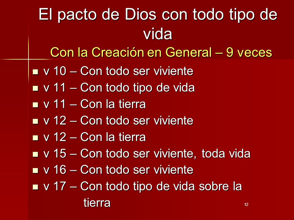 El pacto de Dios con todo tipo de vida