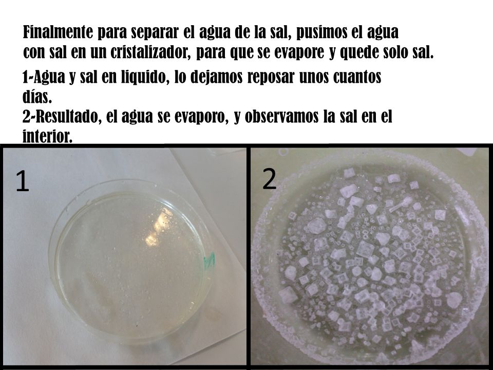 2 1 Finalmente para separar el agua de la sal, pusimos el agua