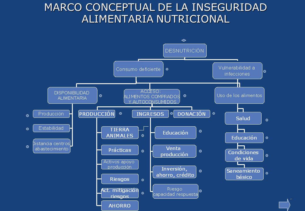 CUÁLES SON LOS GRUPOS POBLACIONALES MÁS VULNERABLES A LA INSEGURIDAD ALIMENTARIA NUTRICIONAL